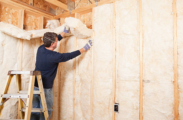 Best Batt and Roll Insulation in Lake Mary, FL